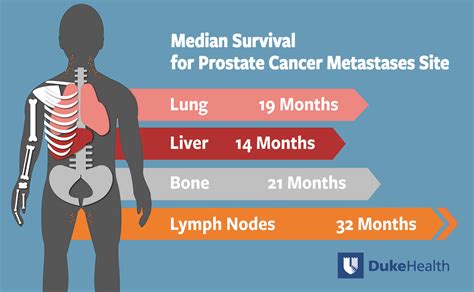 The tumor can be any grade. . Metastatic bone cancer survival rate